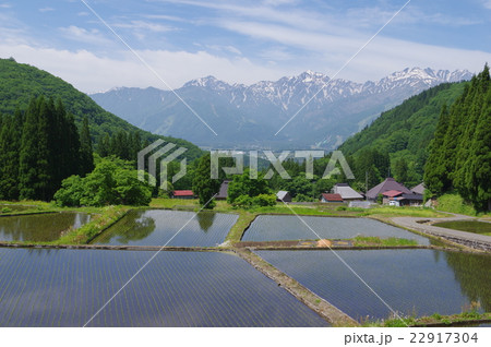 信州 白馬村 青鬼(あおに)集落の春 伝統的建造物群保存地区 棚田のある山間の小集落 信州 白馬村 青鬼(あおに)集落の春 伝統的建造物群保存地区 棚田のある山間の小集落 22917304