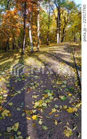 Autumn city park. 22917760