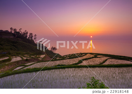 白米千枚田の夕景 22918148