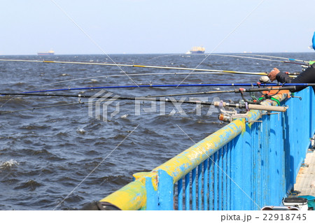 本牧海釣り施設 渡り桟橋からの釣りの写真素材