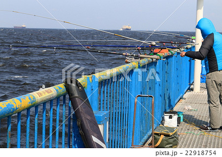 本牧海釣り施設 渡り桟橋の写真素材