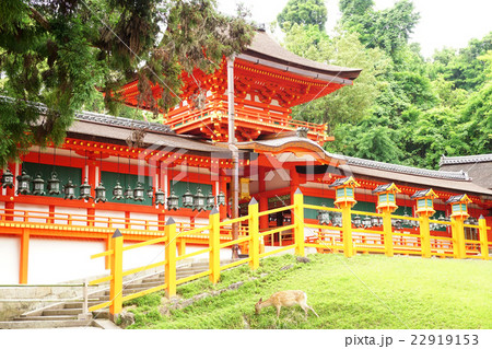 春日大社　本殿 22919153