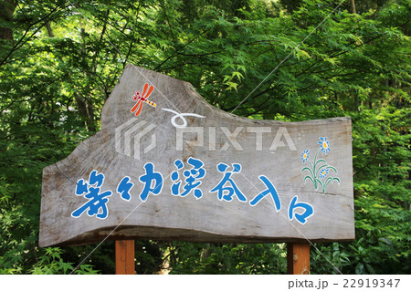 等々力渓谷_東京都世田谷区 等々力渓谷_東京都世田谷区 22919347