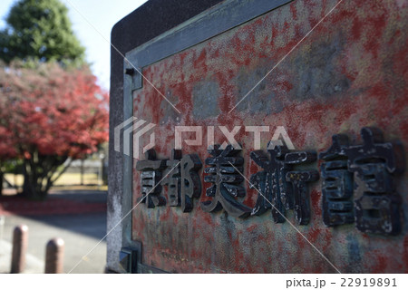 京都市美術館 京都市美術館 22919891