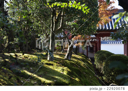 金戒光明寺塔頭 栄摂院 金戒光明寺塔頭 栄摂院 22920078