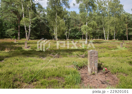 Soviet War Cemetery 22920101