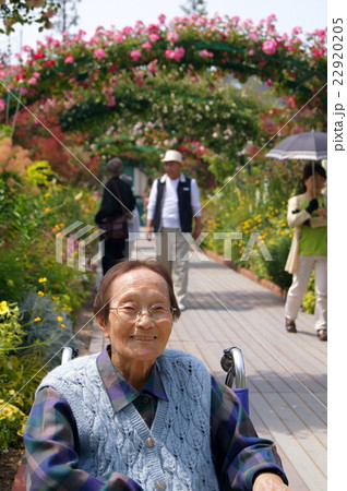車いすで公園を散歩するおばあちゃん 22920205