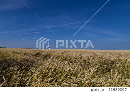 Lighthouse in the fields 22920207