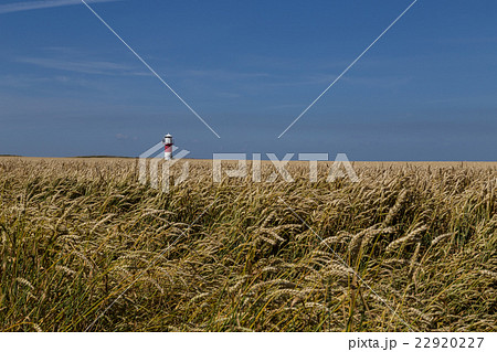 Lighthouse in the fields Lighthouse in the fields 22920227