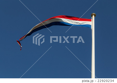 Dutch Flag 22920234