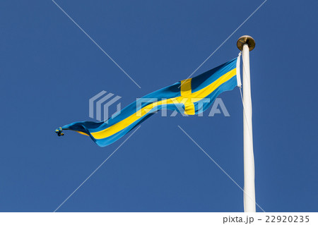 Swedish Flag 22920235