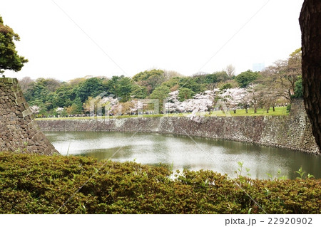東京名所案内桜スポット・皇居北桔橋から見渡す乾通りの桜と乾濠・横位置 東京名所案内桜スポット・皇居北桔橋から見渡す乾通りの桜と乾濠・横位置 22920902