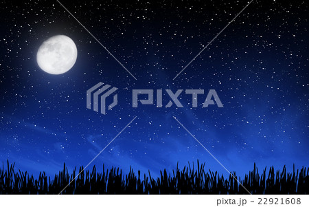 Deep night sky with many stars and grass 22921608