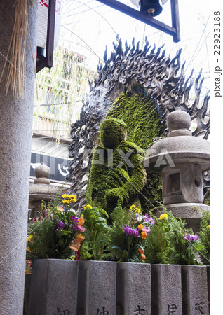 水掛不動 22923188