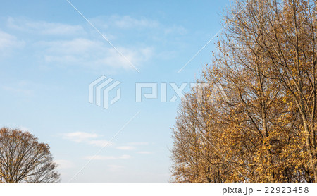 秋　冬　　風景 22923458