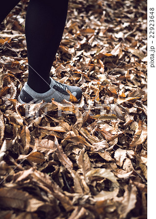 秋を歩く 秋を歩く 22923648