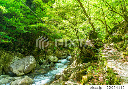 【山梨県】西沢渓谷・トレッキングコース 22924112