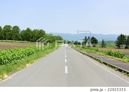 一本道(北海道) 一本道(北海道) 22925353