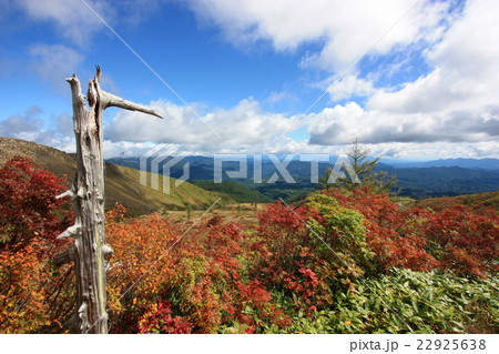 草津白根山の紅葉 草津白根山の紅葉 22925638