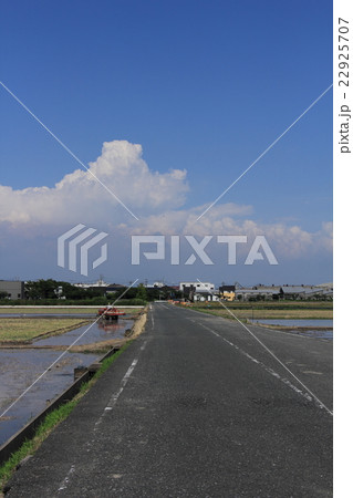 空と田 22925707