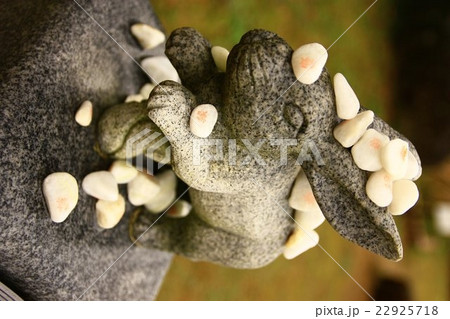 因幡の白うさぎ　白兎神社 22925718