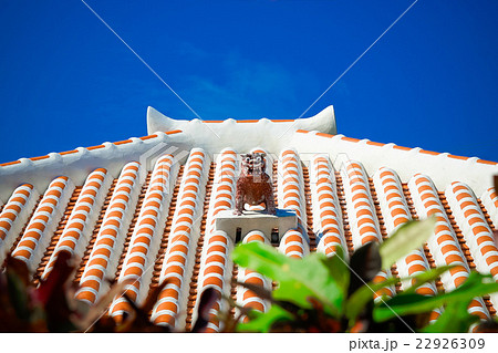 シーサー 22926309