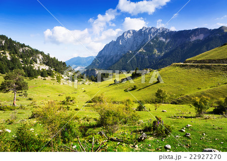 Mountain meadow a Mountain meadow a 22927270