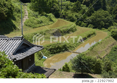小さな棚田 小さな棚田 22927902