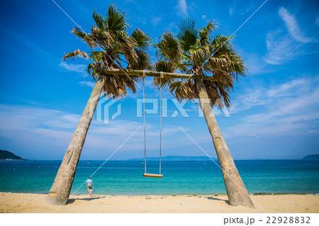 綺麗な海と空 椰子の木の写真素材 2292