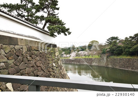東京名所案内桜スポット・皇居北桔橋から見渡す乾通りの桜と乾濠・横位置 東京名所案内桜スポット・皇居北桔橋から見渡す乾通りの桜と乾濠・横位置 22930140