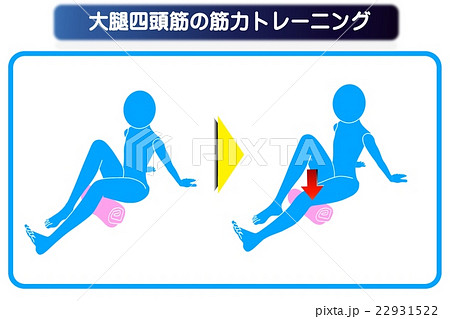 大腿四頭筋の筋力トレーニングのイラスト素材