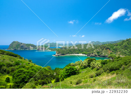 小笠原諸島　父島　中山峠 22932230