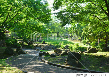 王禅寺ふるさと公園 22932724