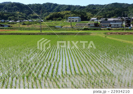 田園風景・三重県伊賀市（六月） 22934210