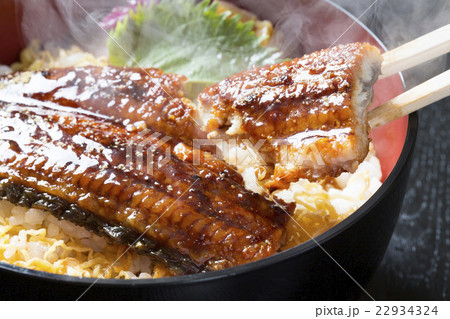 鰻丼 22934324