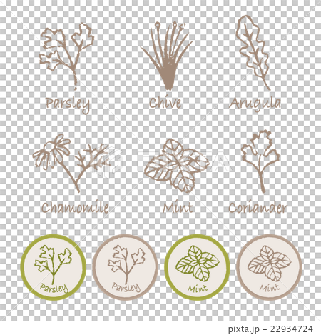 草藥插圖集 草藥插圖集 22934724