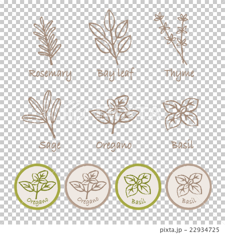 草藥插圖集 草藥插圖集 22934725