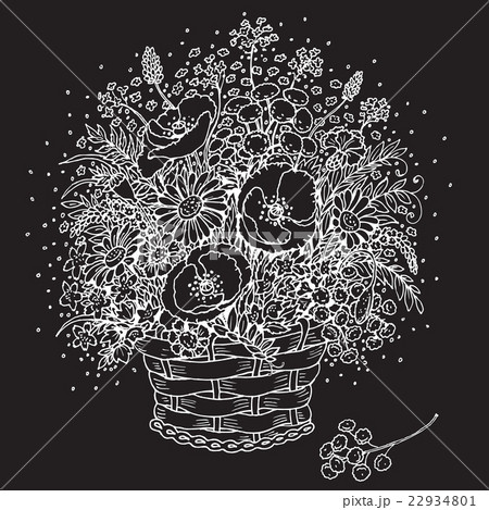 Outlines bouquet of wild flowers in a basket. Outlines bouquet of wild flowers in a basket. 22934801