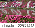 柴桜 22934848