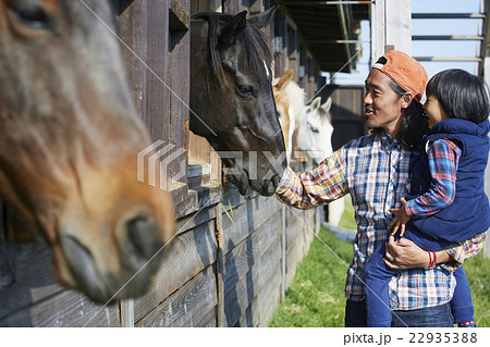 男性 馬 飼育 男性 馬 飼育 22935388