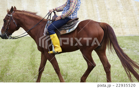 男性 乗馬 男性 乗馬 22935520