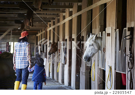 親子 牧場体験 親子 牧場体験 22935547