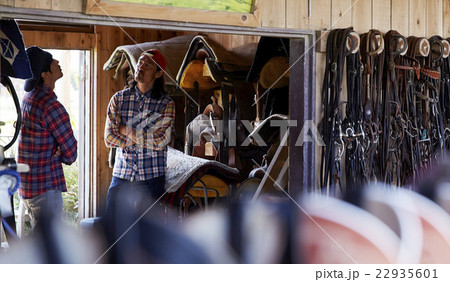 牧場　仕事仲間 22935601