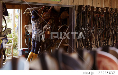 男性　馬　飼育 22935637