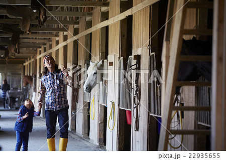 親子 牧場体験 親子 牧場体験 22935655