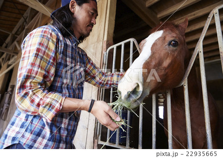 男性 馬 飼育 男性 馬 飼育 22935665
