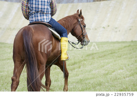 男性 乗馬 男性 乗馬 22935759