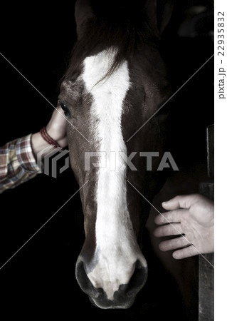 男性　馬　飼育 22935832