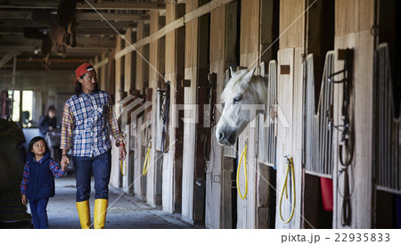 親子　牧場体験 22935833