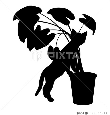 Vector silhouette cat paws rests on a pot. 22936944